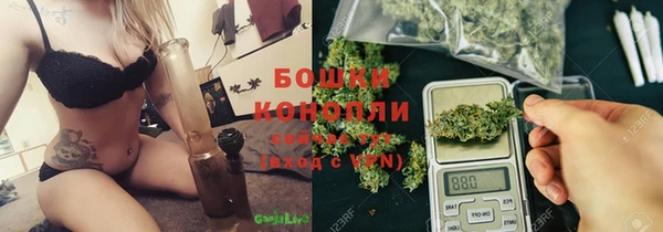 ECSTASY Пересвет