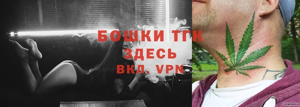 ECSTASY Пересвет