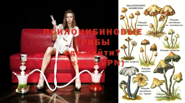 MDMA Premium VHQ Пестово