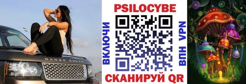 Галлюциногенные грибы Psilocybe  Пролетарск 